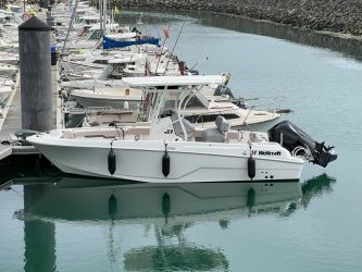 Annonce WELLCRAFT WELLCRAFT 222 FISHERMAN d'occasion, Pornichet Yachting